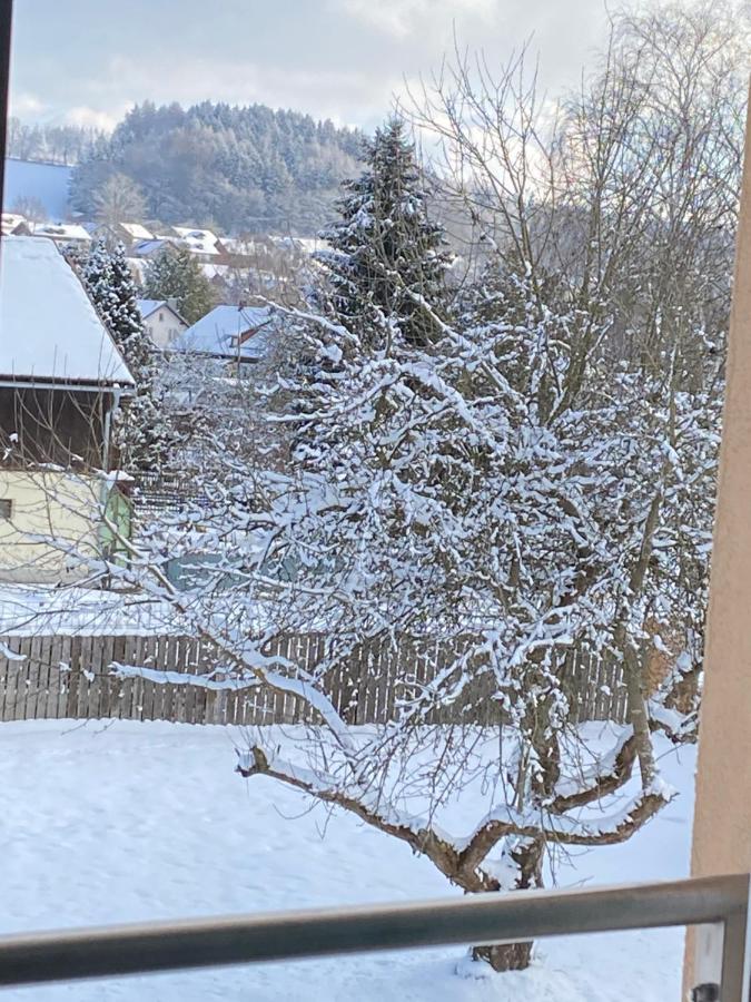 Grosszuegig Und Komfortabel:Ferienwohnung Im Bayerischen Wald! Wiesenfelden Kültér fotó